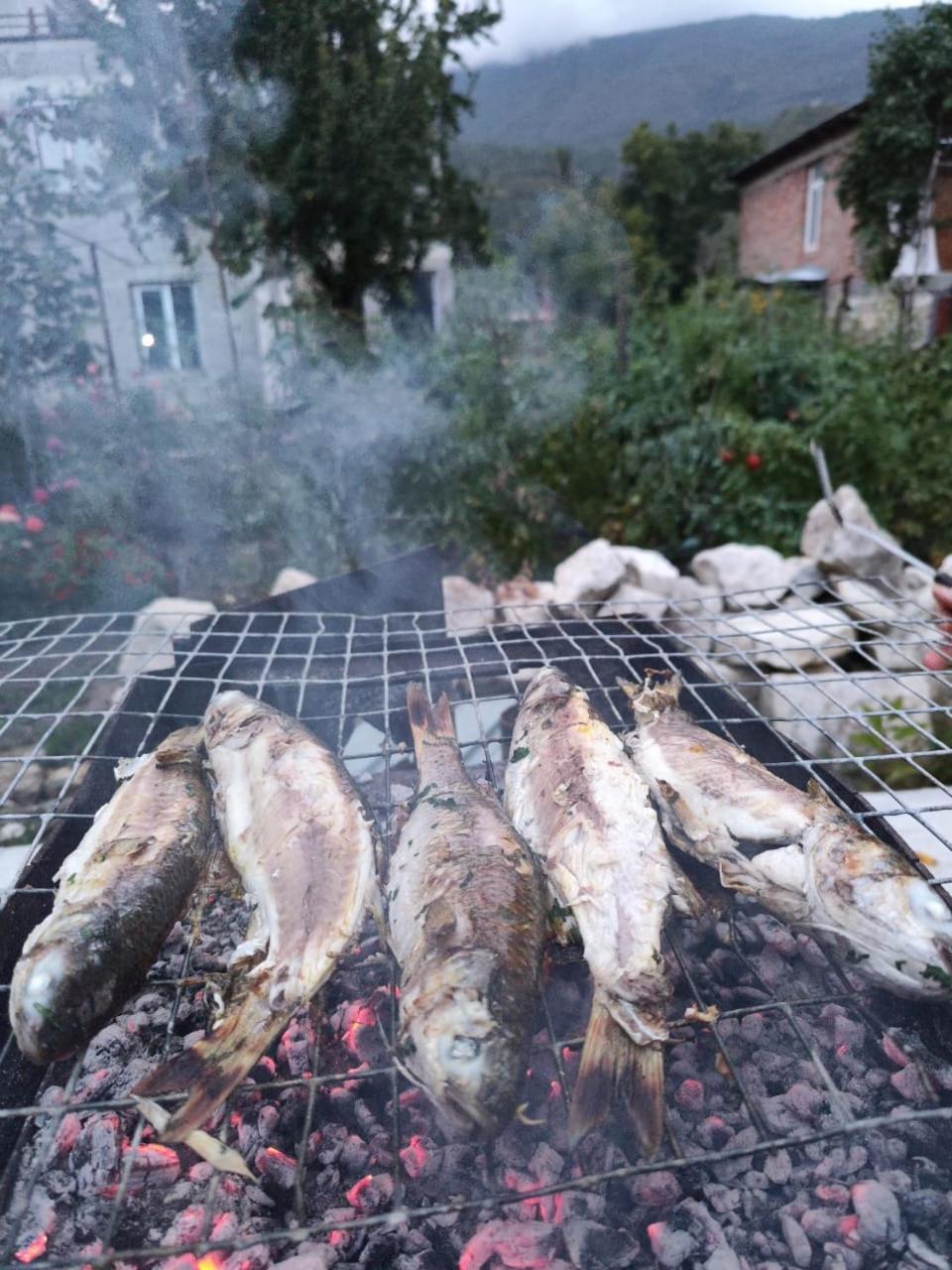 فندق Chveni Ezo أمبرولاوري المظهر الخارجي الصورة